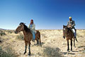 Cow-boys africains l'hiver dans le Damaraland