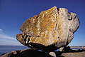 Granite Rock covered by lichens. Harbour of Trvignon