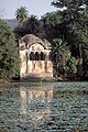 Old Temple in the Ranthambore National Park