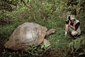 Tortue gante des Galapagos.... et chelle humaine !