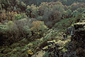 Le Val sans Retour  l'automne / Fort de Brocliande