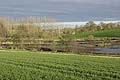 Wetland & Crops