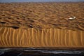 Skeleton Coast