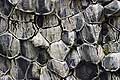 Amazing View of Basalt Columns of Jkulsargljufur Nat. Park