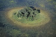 Delta de L'OKAVANGO,  au mois d'AVRIL