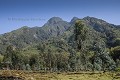 Volcano Sabyinyo.  Volcanoes National Park,  Ruhengeri, Rwanda. "Sabyinyo" means "Teeth" in  kinyarwanda the local language.
 Elevation : 2300 m

Volcan Sabyinyo, Parc National des Volcans, Rwanda. 
Sabyinyo signifie  "les dents du vieux" en kinyarwanda la langue locale. Ruhengeri, Rwanda.
Altitude : 2300 m 
 Rwanda, 
 Nord,  