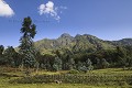 Volcano Sabyinyo.  Volcanoes National Park,  Ruhengeri, Rwanda. "Sabyinyo" means "Teeth" in  kinyarwanda the local language.
 Elevation : 2300 m

Volcan Sabyinyo, Parc National des Volcans, Rwanda. 
Sabyinyo signifie  "les dents du vieux" en kinyarwanda la langue locale. Ruhengeri, Rwanda.
Altitude : 2300 m 
 Rwanda, 
 Nord,  