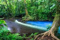 Rivière le Rio Celeste dans le Parc National de Tenorio. Costa Rica. 
Los Teñideros: l'endroit où deux bras de rivière convergent , le Rio Buenavista et le Quebrada Agria et où le Rio Celeste bleu azur apparaît.
La rivière Quebrada Agria est chargée en Silicate d’Aluminium. La taille de ces particules passent de 184 à 570 nanomètres sous l’effet de l’arrivée d’eau acide du Rio Buenavista. 
Il en résulte une sédimentation de ces grosses particules au fond et qui donne une bande blanche avant le bleu du Rio Celeste qui prend naissance ici à droite.
Mais la majorité des sédiments restent en suspension dans l’eau et ce sont eux qui donnent la fameuse couleur azur, par un phénomène purement optique. 
C’est la forme et la taille particulières de particules en suspension qui entrainent un phénomène optique que l’on peut comparer à celui  d’un arc en ciel qui ne donnerait à voir que la couleur azur. Costa Rica 
 Quebrada Agria 
 Rio Buenavista 
 Rio Celeste 
 Tenorio 
 azur 
 bleu 
 blue 
 chimie 
 color 
 couleur 
 eau 
 fluo 
 nature 
 optique 
 phénomène 
 rivière 
 water 