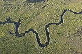 Chenal sinueux dans Delta de l'Okavango. Vue aerienne verticale.
Botswana. Afrique , Botswana , Delta , Okavango , riviere , cours , sineux , zone , humide , marais , eden , sauvage , paysage , 