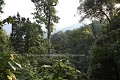 Forêt primaire de montagne du Parc National de la Forêt de Nyungwe, au sud Rwanda. 
Cette forêt strictement protégée habrite 13 espèces de primates, dont des Chimpanzés et des Collobes.
Ici les arbres dépassent facilement les 50 mètres de hauteur....
 Afrique 
 Rwanda 
 Parc 
 National 
 Nyungwe 
 pisteurs 
 hutte 
 route 
 forêt 
 colobes 
 singes 
 Africa 
 Rwanda 
 Parc 
 National 
 Nyungwe 
 trackers 
 hut 
 road 
 forest 
 monkeys 
 colobus 