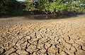 Marais à  sec en été sous la canicule Bretagne 
 campagne 
 canicule 
 eau 
 Finistère 
 manque 
 pénurie 
 réchauffement 
 sécheresse 
 terre 