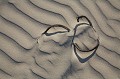 Detail et formes crees par le vent dans le sable des dunes de la Baie d'Audierne. Finistere, Bretagne, France. Atlantique 
 Audierne 
 baie 
 Bretagne 
 cordon 
 cote  
 courants 
 detail 
 dunes 
 Finistere 
 forme 
 galets 
 houle 
 littoral 
 macro 
 mer 
 ocean 
 photo 
 plage 
 sable 
 sauvage 
 vagues 
 vent 