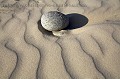 Detail d'un galet et formes crees par le vent dans le sable des dunes de la Baie d'Audierne. Finistere, Bretagne, France. Atlantique 
 Audierne 
 baie 
 Bretagne 
 cordon 
 cote 
 courants 
 detail 
 dunes 
 Finistere 
 forme 
 galets 
 houle 
 littoral 
 macro 
 mer 
 ocean 
 photo 
 plage 
 sable 
 sauvage 
 vagues 
 vent 
