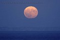 Levée de Pleine Lune sur les falaises de la presqu'île de Crozon. Bretagne.
Mer d'Iroise.
Technique : Canon EOS 1D Mk II, Objectif Canon 500 mm L IS -  F:6,4 - 1/4 sec  - Convertisseur Canon II X 1,4, Trépied Gitzo, Rotule Wimberley, déclencheur électrique. Moon 
 Full 
 Brittany 
 France 
 Sea 
 night 
 Darkness 
 evening 
 twilight 
 Bretagne 
 Iroise 
 Corzon 
 mer 
 littoal 
 soir 
 Lune 
 pleine lune 
 lumière 
 lever 
 nuit 
 noir 