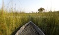 Le Delta de L'Okavango en Mokoro (pirogue locale traditionelle taillee dans un arbre).
Le silence, juste un bruissement dans les herbes qui s'écartent au passage de la pirogue...
Delta Camp. Botswana.

 5 etoiles 
 Africa 
 Afrique 
 agreable 
 ambiance 
 beaute 
 beautiful 
 boat 
paix
silence
herbes
 Botswana 
 calm 
 Camp 
 canoe 
 Delta 
 Delta Camp 
 dugout 
 eau 
 eau douce 
 embarcation 
 experience 
 flood 
 gliding 
 glisser 
 holidays 
 Kalahari 
 landscape 
 local 
 marais 
 marecage 
 Mokoro 
 nature 
 Okavango 
 paysage 
 people 
 photo 
 quiet 
 safari 
 safari photo 
 sauvage 
 scenery 
 scerenity 
 silence 
 silencieux 
 silent 
 tourism 
 tourisme 
 tradition 
 traditionnal 
 traditionnel 
 tranquille 
 transport 
 unspoiled 
 vacances 
 voyage 
 water 
 wetland 
 wild 
 wonders 
 zone humide 