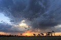 Ciel d'orage dans l'Okavango. Debut de la saison des pluies. 
Botswana
 Botswana 
 Afrique 
 Africa 
 Wilderness 
 Okavango 
 Delta 
 sauvage 
 nature 
 safari 
 safari photo 
 voyage 
 animaux 
 faune 
 desert 
 Kalahari 
 wetland 
 aride 
 dry 
 water 
 eau 
 eau douce 
 Kwando 
 Kwara 
 mammal 
 mammifere 
 sky 
 ciel 
 orage 
 pluie 
 nuages 
 clouds 
 rain 
 season 
 saison 
 lumiere 
 soir 
 sunset 
 coucher de soleil 
 soir 
 paysage 
 landscape 
 storm 
 thunderstorm 
 storm 
 evening 
 november 
 novembre 
 Botswana 
 Africa 
 Afrique 
 couleur 
 color 