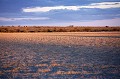 Lumiere du soleil couchant sur la grande plaine de Deception Pan, Desert du Kalahari. Central Kalahari Game Reserve. Botswana. Fin de la saison sèche, les premiers nuages arrivent.
 Africa 
 Afrique 
 aride 
 Botswana 
 Central 
 Deception 
 desert 
 dry 
 Game 
 Kalahari 
 Reserve 
 sable 
 sand 
 sec 
 semi-desert 
 Valley 
 pan 
 plaine 
 lumiere 
 light 
 ultimate 
 nuages 
 sky 
 ciel 
 clouds 
 season 
 Game Reserve 
 National Park 