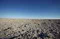 Deception Pan, Désert du Kalahari à la saison sèche.
Central Kalahari Game Reserve.
Botswana. photo
paysage
landscape
Afrique
Africa
Botswana
Kalahari
désert
Desert
Pan
plaine
sel
salt
ciel
bleu
sky
blue
immensité
endless
picture
photography
ground
sol
dry
sec
seche
season
saison
Deception
Pan
Valley
Game
Reserve
Central
Kalahari
plat
flat
plain
 