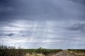 Premières pluies sur le désert du Kalahari fin novembre. 
Makgadikgadi Pans National Park
Botswana. Africa 
 Afrique 
 aride 
 Botswana 
 Central 
 Deception 
 desert 
 dry 
Makgadikgadi Pans National Park
Botswana.
 Game 
 Kalahari 
 Reserve 
 sable 
 sand 
 sec 
 semi-desert 
 Valley 
 pluie 
 rain 
 clouds 
 nuages 
 orage 
 saison 
 season 
 november 
Makgadikgadi 