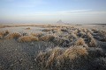 La Baie du Mont Saint Michel, les herbus givrés l'hiver par - 8 °C. 
Les marées en baie du Mont Saint Michel figurent parmi les plus importantes au monde. Le marnage y dépasse les 14 mètres.
La baie est classée "Patrimoine Mondial de l'Humanité" par l'UNESCO.
Normandie , France.
 France 
 marée 
 Mont Saint Michel 
 baie 
 Normandie 
 mer 
 Manche 
 puissance 
 cheval 
 galop 
 rapide 
 marnage 
 eau 
 sédiments 
 UNESCO. 