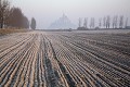 Polders l'hiver en Baie du Mont Saint Michel. Limite Bretagne-Normandie.
 Mont Saint Michel 
 polder 
 agriculture 
 culture 
 maraîchage 
 baie 
 hiver 
 givre 
 Normandie 
 Bretagne . 
 Mont 
 Saint 
 Michel 
 Bay 
 Abbay 
 Winter 
 Freeze 
 morning light 
 agriculture 
 boundary 
 Normandy 
 Brittany 
 France 