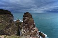 Falaises de grès rouge du Cap Fréhel. La Fauconnière. Réserve Ornithologique.
Côtes d'Armor.
Bretagne. France. bird 
 Bretagne 
 Brittany 
 Cap 
 cliffs 
 coast 
 cote 
 coÌ‚te 
 CoÌ‚tes d'Armor 
 eau 
 Emeraude 
 Europe 
 falaises 
 FauconnieÌ€re 
 France 
 FreÌhel 
 greÌ€s 
 littoral 
 marin 
 mer 
 nature 
 ocean 
 oiseau 
 paysage 
 region 
 rouge 
 sauvage 
 seascapes 
 shore 
 shore line 
 shoreline 
 trait de cote 
 wild coast 
 grès 
 rouge 
 Fauconnière 
 réserve 
 oiseaux 
 ornithologique 