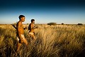 Bushmen au Botswana. Chasseurs arpentant l'immensité du désert du Kalahari Central le soir. Regardez bien ces images, car ce sont probablement parmi les dernières. La culture Bushman, ou San, est en train de disparaître avec leur mode de vie nomade, en direct sous nos yeux. 
Et gardez aussi à l'esprit que nous sommes tous des Bushmen. Vous ne me croyez pas ? alors demandez à votre ADN... Afrique 
 Africa 
 désert 
 desert 
 Botswana 
 gens 
 people 
 native 
 bushman 
 bushmen 
 Kalahari 
 traditionnal 
 tradition 
 diamont 
 diamants 
 brousse 
 bush 
 ADN 
 origine ,
grassland, 