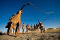 Bushmen du désert du Kalahari au Botswana. En cette période où les jeux Olympiques de Pékin s'achèvent, je ne résiste pas à la tentation de mettre en ligne cette image de "jeux bushman". Les bushmen ont inventé le jeu et le probablement le sport en même temps, des dizaines de milliers d'années avant les Grecs et leurs Olympiades... he oui... car nous sommes tous des descendants de Bushmen... C'est pas moi que le dit, c'est notre ADN... ! La corde à sauter dans les cours de récrée ne date pas d'hier... Afrique 
 Africa 
 désert 
 desert 
 Botswana 
 gens 
 people 
 native 
 bushman 
 bushmen 
 Kalahari 
 traditionnal 
 tradition 
 diamont 
 diamants 
 brousse 
 bush 
 ADN 
 origine ,
San, 
jeux,
game,
playing,
jouer, 
corde,
rope,
sauter,
jumping,
 