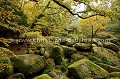 La forêt et le Chaos du Huelguat à l'automne. 
Finistère, Bretagne, France.
 Ar Goat 
 arbre 
 arbres 
 arene 
 arene granitique 
 Arrène 
 automne 
 bois 
 boulders 
 Bretagne 
 Brittany 
 chaos 
 eau 
 erosion 
 feuilles 
 Finistere 
 Forest 
 forest 
 forestier 
 foret 
 fraicheur 
 France 
 geologie 
 granite 
 habitat 
 hetres 
 Hueguat 
 humide 
 le´gende 
 massif 
 mont 
 natural 
 nature 
 naturel 
 patrimoine 
 riviere 
 rochers 
 roches 
 rock 
 saison 
 stones 
 torrent 
 tree 
 vegetation 
 wood 