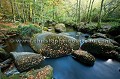 La rivière d'Argent coule au milieu du Chaos granitique de la Forêt du Huelguat, à l'automne.
Finistère. Bretagne. France.
 Ar Goat 
 arbre 
 arbres ,
chaos,
 arene 
 arene granitique 
 Arre´e 
 automne 
 bois 
 boulders 
 Bretagne 
 Brittany 
 chaos 
 eau 
 erosion 
 feuilles 
 Finistere 
 Forest 
 forest 
 forestier 
 foret 
 fraicheur 
 France 
 geologie 
 granit 
 granite 
 habitat 
 hetres 
 Hueguat 
 humide 
 le´gende 
 massif 
 mont 
 natural 
 nature 
 naturel 
 patrimoine 
 river 
 riviere 
 rochers 
 roches 
 rock 
 saison 
 stones 
 torrent 
 tree 
 vegetation 
 water 
 wood 