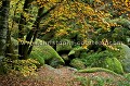 Forêt et Chaos Granitique du Huelguat à l'automne.
Finistère, Bretagne, France.
 Ar Goat 
 arbre 
 arbres 
 arene 
 arene granitique 
 Arrène 
 automne 
 bois 
 boulders 
 Bretagne 
 Brittany 
 chaos 
 eau 
 erosion 
 feuilles 
 Finistere 
 Forest 
 forest 
 forestier 
 foret 
 fraicheur 
 France 
 geologie 
 granite 
 habitat 
 hetres 
 Hueguat 
 humide 
 le´gende 
 massif 
 mont 
 natural 
 nature 
 naturel 
 patrimoine 
 riviere 
 rochers 
 roches 
 rock 
 saison 
 stones 
 torrent 
 tree 
 vegetation 
 wood,
chaos,
granit,
fall,
Brittany 