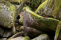 Chaos granitique de la foret du Huelguat, à l'automne. Finistère, Bretagne, France. Ar Goat 
 arbre 
 arbres 
 arene 
 arene granitique 
 Arrée 
 automne 
 bois 
 boulders 
 Bretagne 
 Brittany 
 chaos 
 eau 
 erosion 
 feuilles 
 Finistere 
 forest 
 Forest 
 forestier 
 foret 
 fraicheur 
 France 
 geologie 
 granite 
 habitat 
 hetres 
 Hueguat 
 humide 
 le´gende 
 massif 
 mont 
 natural 
 nature 
 naturel 
 patrimoine 
 riviere 
 rochers 
 roches 
 rock 
 saison 
 stones 
 torrent 
 tree 
 vegetation 
 wood 