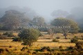 La brume se lève dans le bush au petit matin.
Photographié depuis le Tented Camp où j'étais basé, depuis ma propre tente, chez mon ami David Dugmore à Meno a Kwena. 
Makgadikgadi Pans National Park.
Désert du Kalahari. Botswana.
 Makgadikgadi,
Pans,
National,
Parc,
Park,
Wilderness,
SAfari,
Scenery,
Workshop,
Photographic,
stage,
photo,
animalier,
wildlife,
digital,
numérique,
Botswana,
Afrique,
Africa,
 