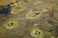 Delta de l'Okavango vue du ciel.
 Botswana. Botswana 
 Okavango 
 Afrique 
 Africa 
 Delta 
 vue 
 ciel 
 photo 
 picture 
 sky 
 above 
 landscape 
 paysage 
 avion 
 vue aérienne 
 zone humide 