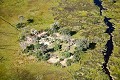 Delta de l'Okavango vue du ciel.
Botswana. Botswana 
 Okavango 
 Afrique 
 Africa 
 Delta 
 vue 
 ciel 
 photo 
 picture 
 sky 
 above 
 landscape 
 paysage 
 avion 
 vue aérienne 
 zone humide 