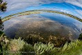 Anciens marais salants de l'île de Ré. Réserve Ornithologique. Charente Maritime. France. Fisheye, 15 mm. Ile de Ré,
marais,
Fisheye,
15,
objectif,
Charente,
Maritime,
réserve,
photo,
landscape,
paysage,
 