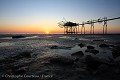 Carrelets au coucher du soleil. Pointe Saint Clément. Charente Maritime. France. Marée basse. 
Photo prise durant une session des stages de Photo Numérique en Vendée. A voir dans la rubrique "Stages & Voyages". Pointe Saint Clément,
Pointe,
littoral,
côte,
carrelet,
pêche,
photo,
coucher de soleil,
sunset,
mer,
océan,
Atlantique,
Atlantic,
Ocean,
picture,
landscape,
sky,
fishing,
net,
sun,
soleil,
 