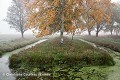 Paysage rural traditionnel du marais Poitevin, dit "marais desséché" en automne. Vendée. France. Dixmérie 
 France 
 Stages 
 Vendée 
 agriculture 
 brume 
 campagne 
 marais 
 poitevin ,
eau,
water,
zone humide,
arbre,
tree,
fog,
brouillard,

 rural 
 France, 
 Poitou-Charente, 