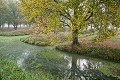 Paysage rural traditionnel du marais Poitevin en automne. Zone du Marais dessèché. Vendée. France. 
 Dixmérie 
 France 
 Stages 
 Vendée 
 agriculture 
 brume 
 cabane verte 
 campagne 
 desséché 
 marais 
 poitevin 
 rural 
 France, 
 Poitou-Charente,  