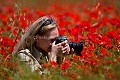 Jeune femme photographiant des coquelicots au printemps. 
 Claverie 
 Irina 
 La Claverie 
 Papaver 
 Papavéracée 
 Vendée 
 champ 
 couleur 
 fleur 
 mai 
 numérique 
 papaver rhoeas 
 photo 
 rhoes 
 rouge 
 stage 
 France,  