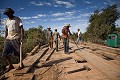 Ouvriers en train de réparer un pont sur la route Transpantaneira. Amerique du sud 
 Brazil 
 Bresil 
 Pantanal 
 Pantaneiros 
 South America 
 Transpantaneira 
 bridge 
 dry season 
 life 
 ouvriers 
 pont 
 road 
 route 
 saison sèche 
 workers 
 Brésil, 
 Pantanal, 