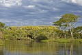 Brazil. Amerique du sud 
 Brazil 
 Bresil 
 Pantanal 
 South America 
 Transpantaneira 
 river 
 rivière 
 Brésil, 
 Pantanal, 