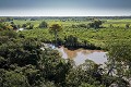 Paysage du Pantanal, la forêt originelle et les zones humides. Brésil Amerique du sud 
 Brazil 
 Bresil 
 Pantanal 
 South America 
 river 
 rivière 
 Brésil, 
 Pantanal, 