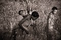 Clan de Bushmen dans le désert du Kalahari, cherchant de la nourriture. Botswana. Botswana 
 Bushmen 
 people 
 Kalahari 
 Central 
 Desert 
 Botswana, 
food,
fruit,
women,
femmes,
 