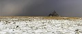 La baie et le Mont Saint Michel sous la neige. Janvier 2010. Normandie. France.  --  Panoramique numérique par assemblage. Baie 
 Baie du Mont Saint Michel 
 Bay 
 Bretagne 
 Brittany 
 France 
 Michel 
 Mont 
 Mont-Saint-Michel 
 Normandie 
 Normandy 
 Saint 
 hiver 
 janvier 
 littoral 
 neige 
 saison 
 season 
 shore 
 snow 
 winter 
 FRANCE, 
 Normandy - Normandie, 