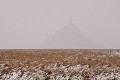 La baie et le Mont Saint Michel sous la neige. Janvier 2010. Normandie. France. Baie 
 Baie du Mont Saint Michel 
 Bay 
 Bretagne 
 Brittany 
 France 
 Michel 
 Mont 
 Mont-Saint-Michel 
 Normandie 
 Normandy 
 Saint 
 janvier 
 littoral 
 neige 
 saison 
 season 
 shore 
 snow 
 FRANCE, 
 Normandy - Normandie, 