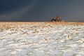 La baie et le Mont Saint Michel sous la neige. Janvier 2010. Normandie. France. Baie 
 Baie du Mont Saint Michel 
 Bay 
 Bretagne 
 Brittany 
 France 
 Michel 
 Mont 
 Mont-Saint-Michel 
 Normandie 
 Normandy 
 Saint 
 janvier 
 littoral 
 neige 
 saison 
 season 
 shore 
 snow 
 FRANCE, 
 Normandy - Normandie, 