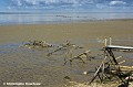 Carrelets détruits par la tempête Xynthia le 27 février 2010 à la Pointe Saint Clément. Charente maritime. France. Aiguillon 
 Baie 
 Charron 
 France 
 Vendée 
 Xynthia 
 catastrophe 
 climat 
 climatique 
 littoral 
 tempète 