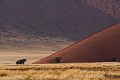 Dunes de sables rouge de Sossusvlei. Désert du Namib. Namibie. -- Red Dunes of Sossusvlei. Namib Desert. Namibia 
 Africa 
 Afrique 
 Afrique australe 
 Namib 
 Namibia 
 Namibie 
 Nauckluft 
 Park 
 Photographic Safari 
 Red 
 Sand 
 Wilderness 
 animal 
 animaux 
 desert 
 dunes 
 désert 
 nature 
 nature Africa 
 nature desert 
 photo 
 rouge 
 sable 
 safari 
 safari photo 
 sauvage 
 southern 
 southern africa 
 Namibia, 
 Namib Nauckluft National Park.,  