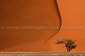 Dunes de sables rouge de Sossusvlei. Désert du Namib. Namibie. -- Red Dunes of Sossusvlei. Namib Desert. Namibia 
 Africa 
 Afrique 
 Afrique australe 
 Namib 
 Namibia 
 Namibie 
 Nauckluft 
 Park 
 Photographic Safari 
 Red 
 Sand 
 Wilderness 
 animal 
 animaux 
 desert 
 dunes 
 désert 
 nature 
 nature Africa 
 nature desert 
 photo 
 rouge 
 sable 
 safari 
 safari photo 
 sauvage 
 southern 
 southern africa 
 Namibia, 
 Namib Nauckluft National Park.,  